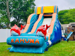 Water20Slide20Kahuna2 1748918874