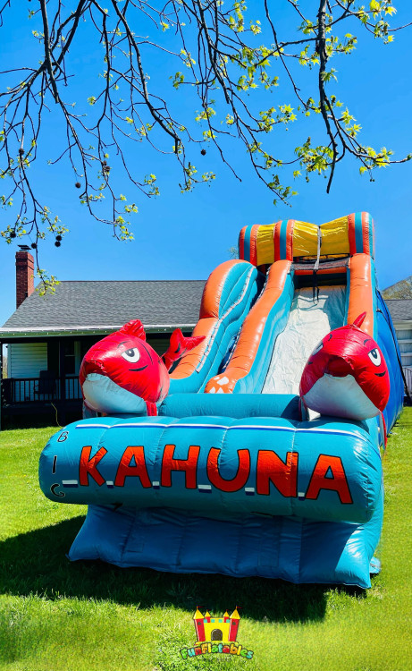The Big Kahuna (Dry)